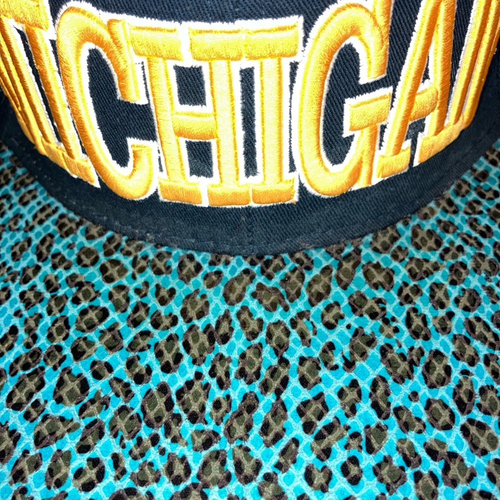 Michigan SnapBack - Picture 2 of 7